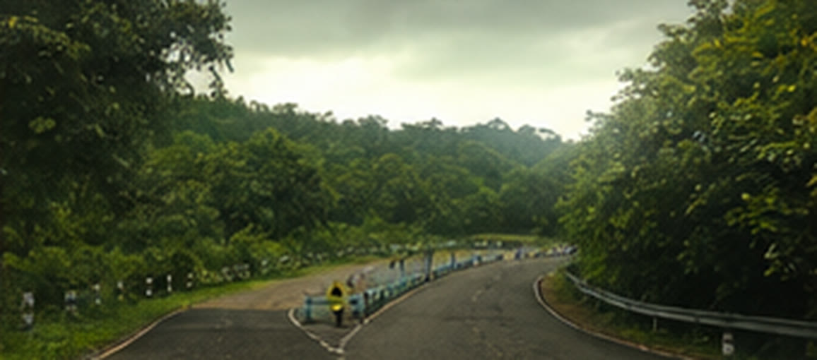 A quiet green road bending through the hills
